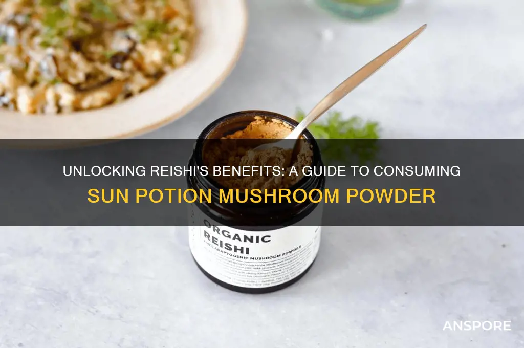 how to consume reishi mushroom powder sun potion