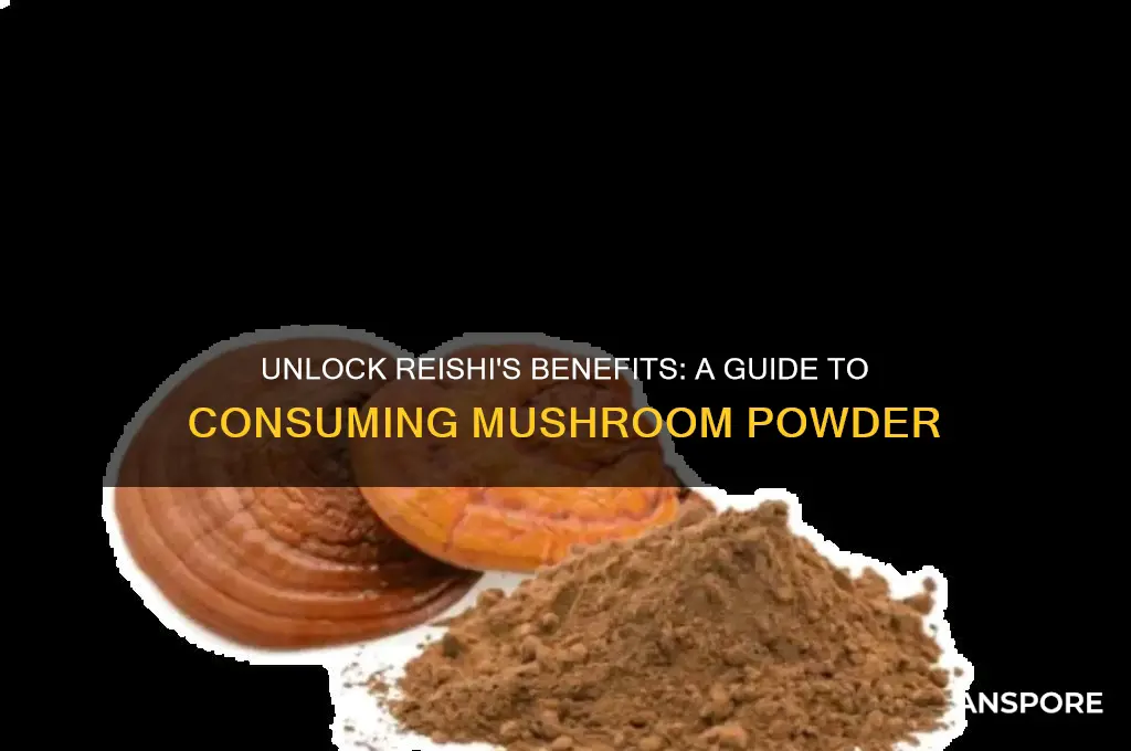 how to consume reishi mushroom powder