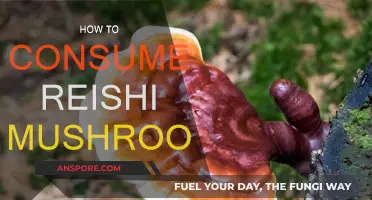 Reishi Mushroom Consumption: Methods and Benefits