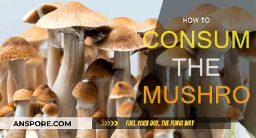Mushroom Consumption: A Guide to Safe Eating
