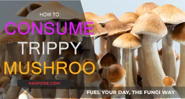 Trippy Shrooms: A Beginner's Guide to Safe Consumption