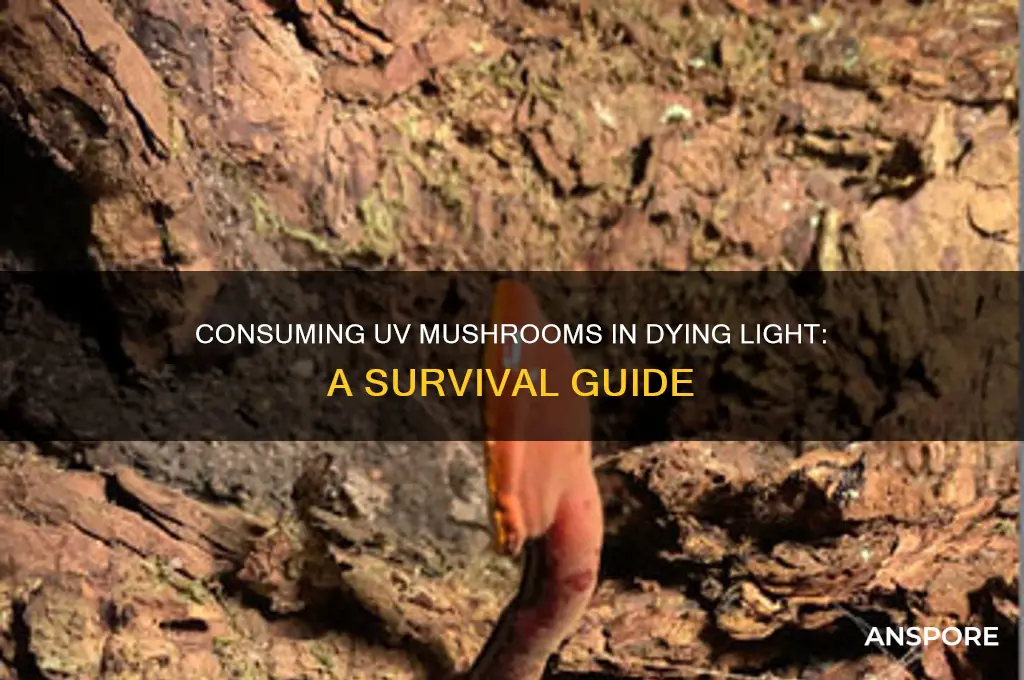 how to consume uv mushrooms dying light
