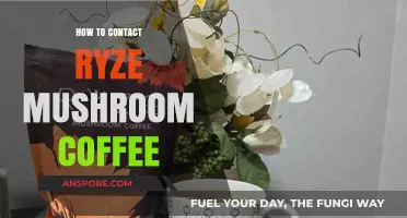 Contact Ryze Mushroom Coffee: Easy Steps to Reach Customer Support