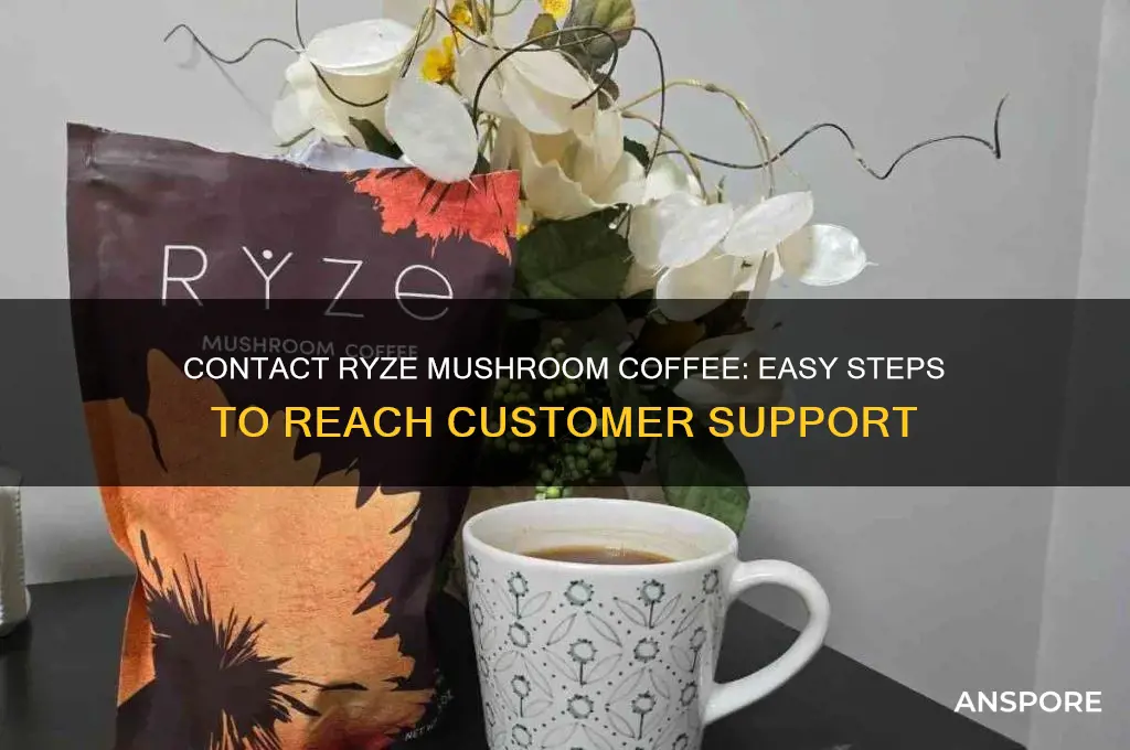 how to contact ryze mushroom coffee