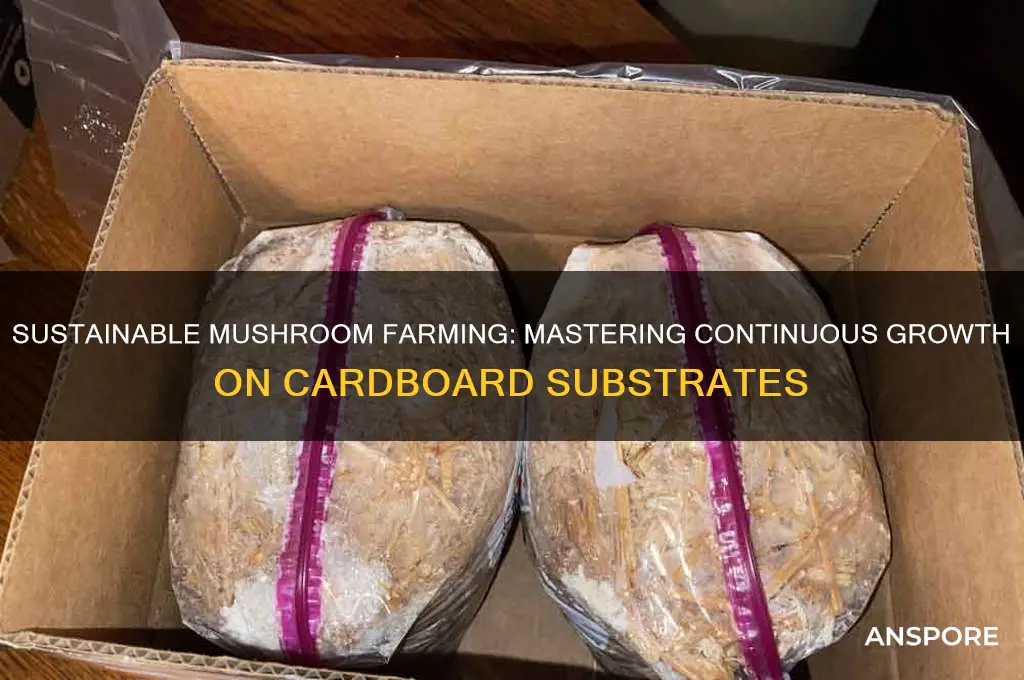 how to continuos grow mushrooms on cardboard