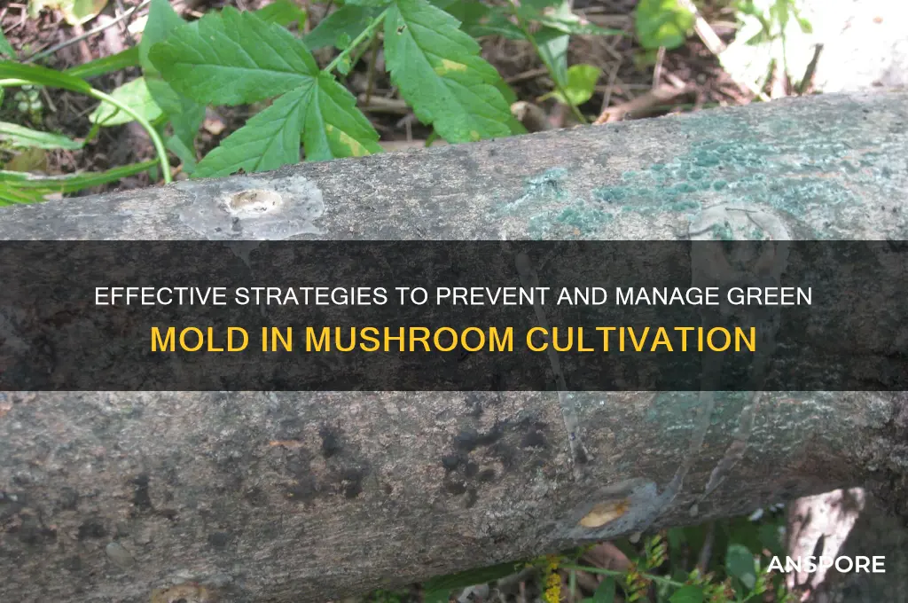 how to control green mould in mushroom