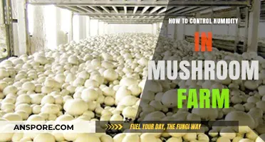 Mastering Mushroom Farm Humidity: Effective Control Strategies for Optimal Growth