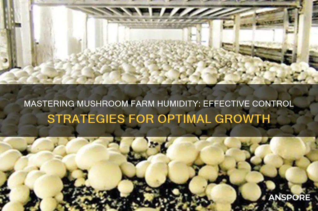 how to control humidity in mushroom farm