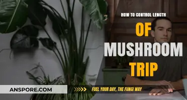 Mastering Mushroom Trips: Strategies to Control Duration and Intensity