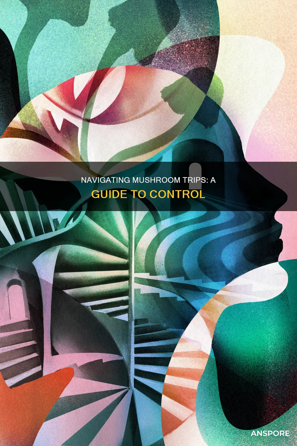 how to control mushroom trip