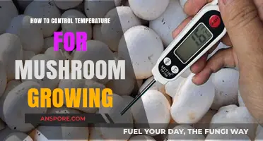 Mastering Mushroom Cultivation: Optimal Temperature Control Techniques Revealed
