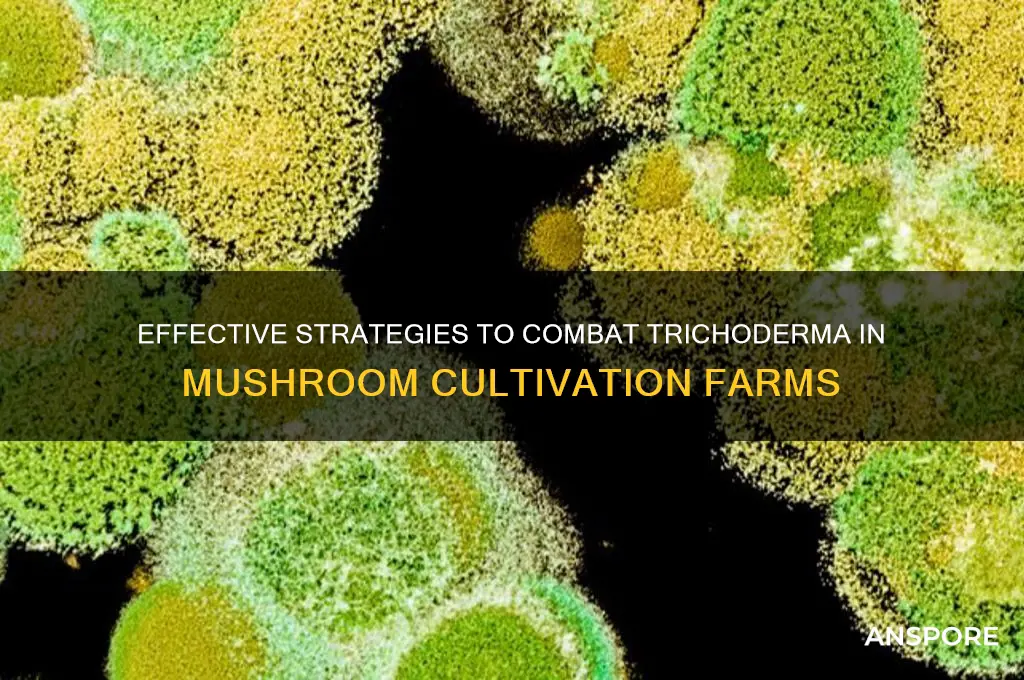 how to control trichderma in mushroom farms