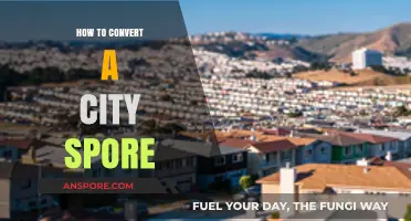 Transforming Urban Sprawl: A Guide to Converting City Spores Sustainably