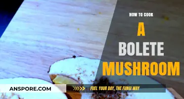 Mastering Bolete Mushrooms: A Step-by-Step Cooking Guide for Delicious Results