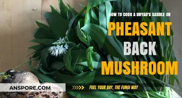Mastering Dryad's Saddle: A Guide to Cooking Pheasant Back Mushrooms