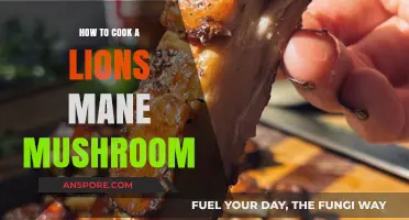 Mastering the Art of Cooking Lion's Mane Mushrooms: A Delicious Guide