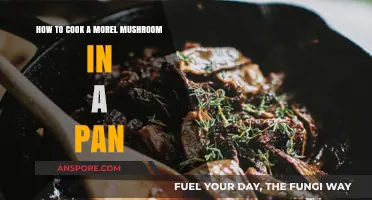 Sizzling Morel Mushrooms: A Pan-Cooking Guide for Earthy Delights
