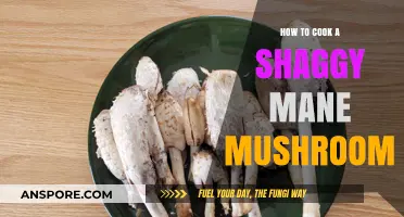 Mastering Shaggy Mane Mushrooms: A Step-by-Step Cooking Guide