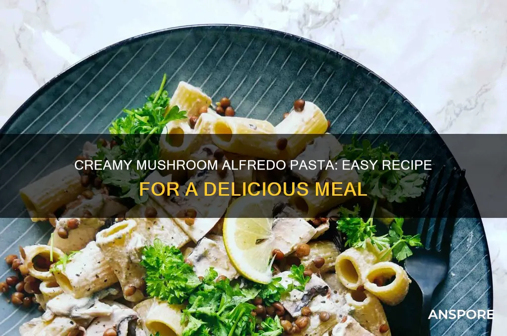 how to cook alfredo pasta with mushrooms