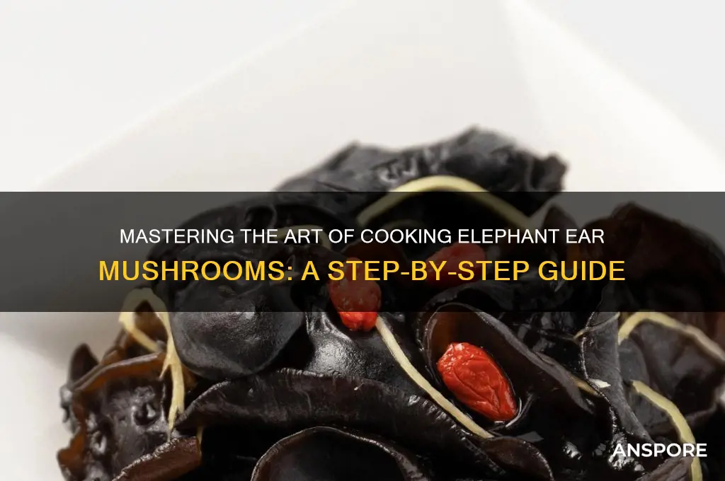how to cook an elephant ear mushroom