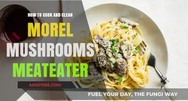 Mastering Morel Mushrooms: Cooking and Cleaning Tips for MeatEaters