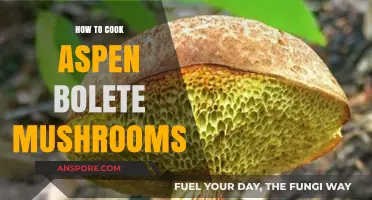 Mastering the Art of Cooking Aspen Bolete Mushrooms: A Delicious Guide