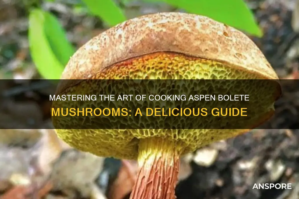 how to cook aspen bolete mushrooms