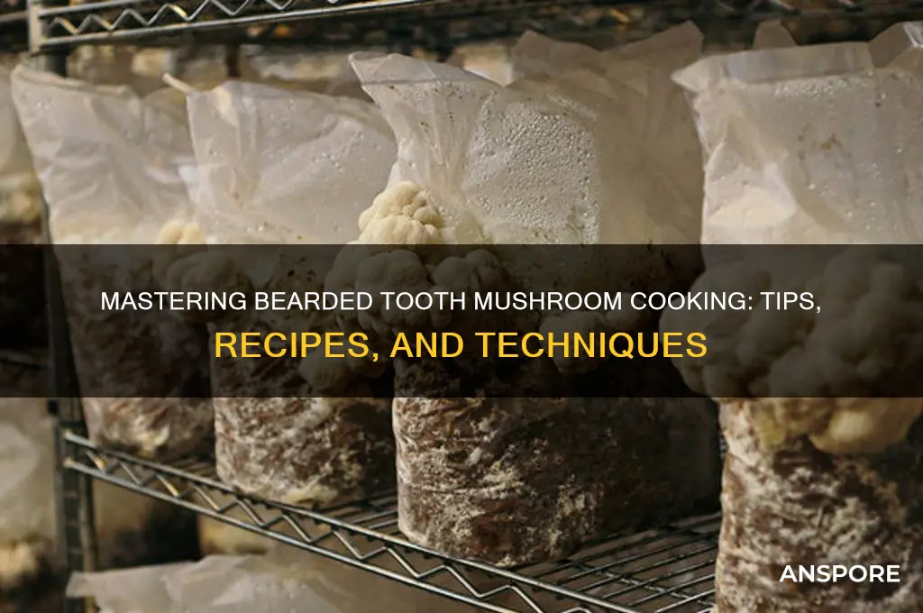 how to cook bearded tooth mushroom