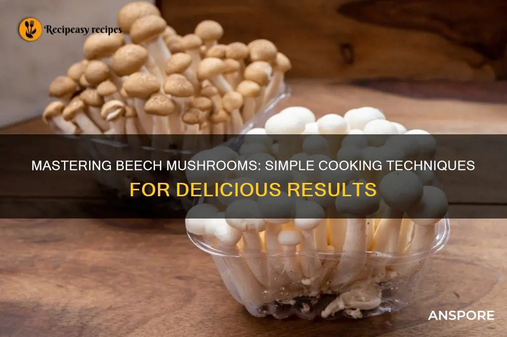 how to cook beech mushroom