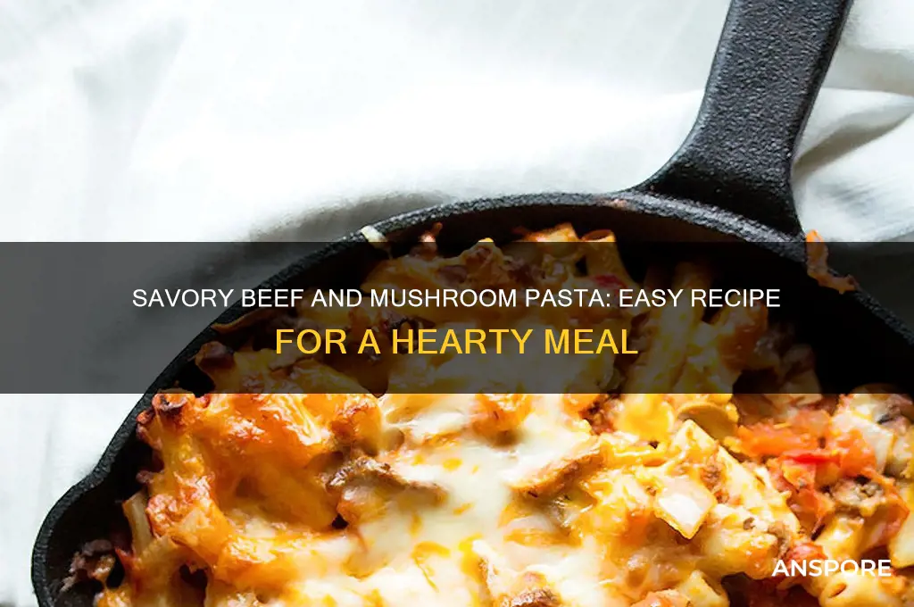 how to cook beef and mushroom pasta