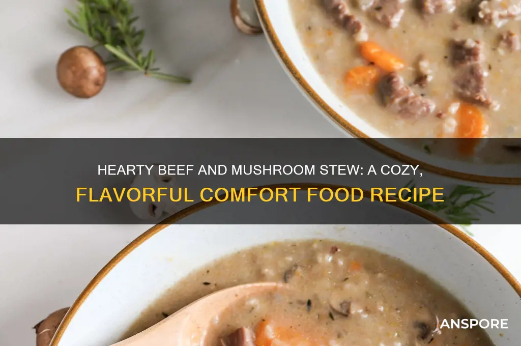 how to cook beef and mushroom stew