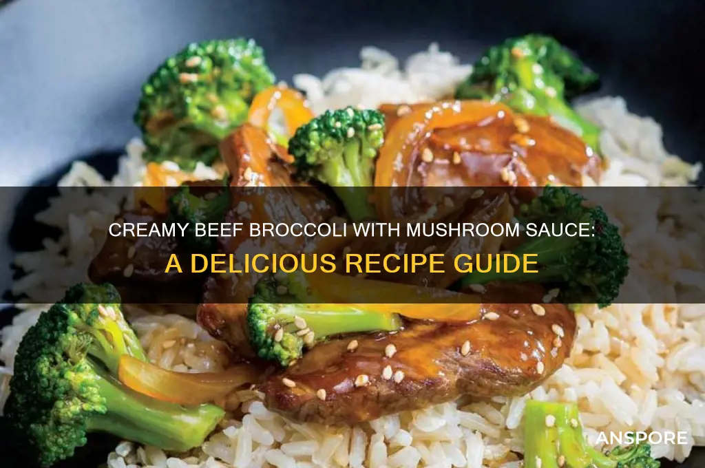 how to cook beef broccoli with cream of mushroom