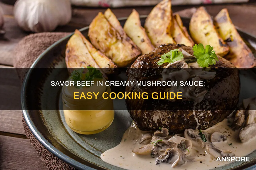 how to cook beef in creamy mushroom sauce