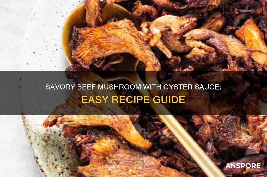 how to cook beef mushroom with oyster sauce