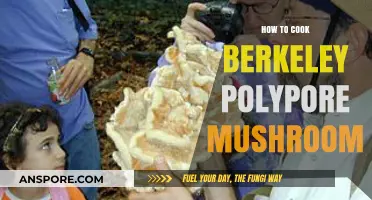 Mastering Berkeley Polypore: A Step-by-Step Guide to Cooking This Wild Mushroom