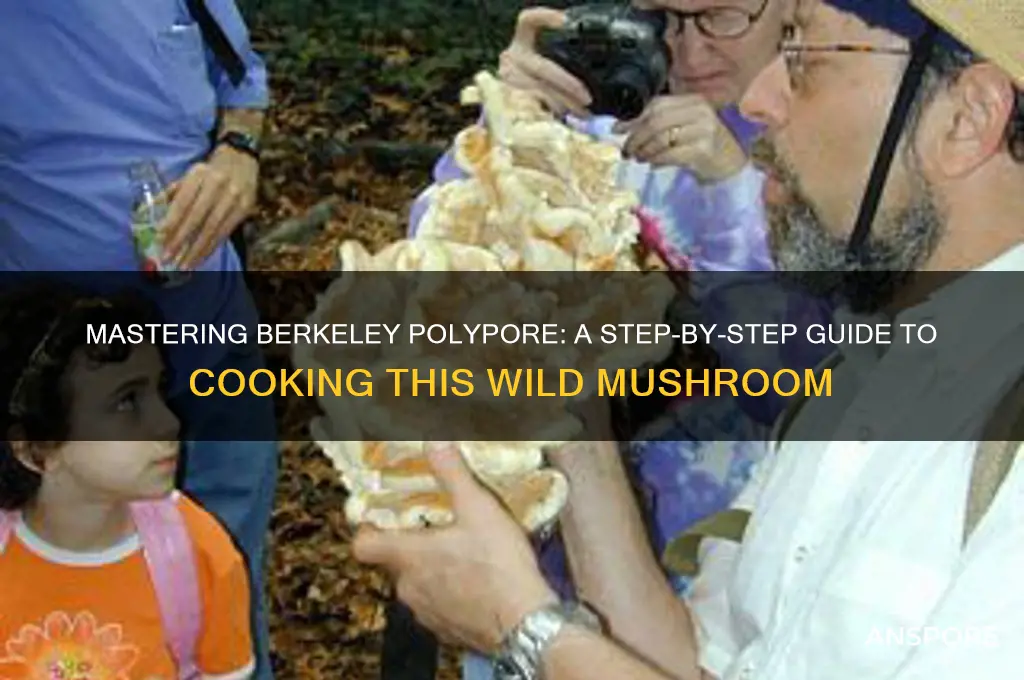 how to cook berkeley polypore mushroom