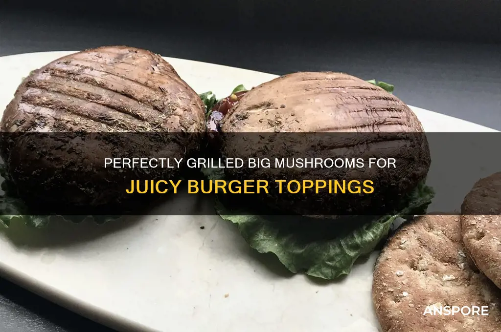 how to cook big mushrooms for burgers