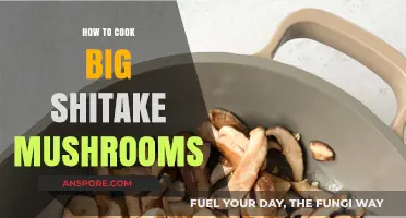 Mastering Big Shiitake Mushrooms: Simple Cooking Techniques for Bold Flavor