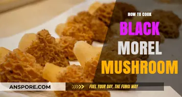 Mastering Black Morel Mushrooms: A Culinary Guide to Perfect Cooking