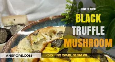 Mastering the Art of Cooking Black Truffle Mushrooms: A Gourmet Guide