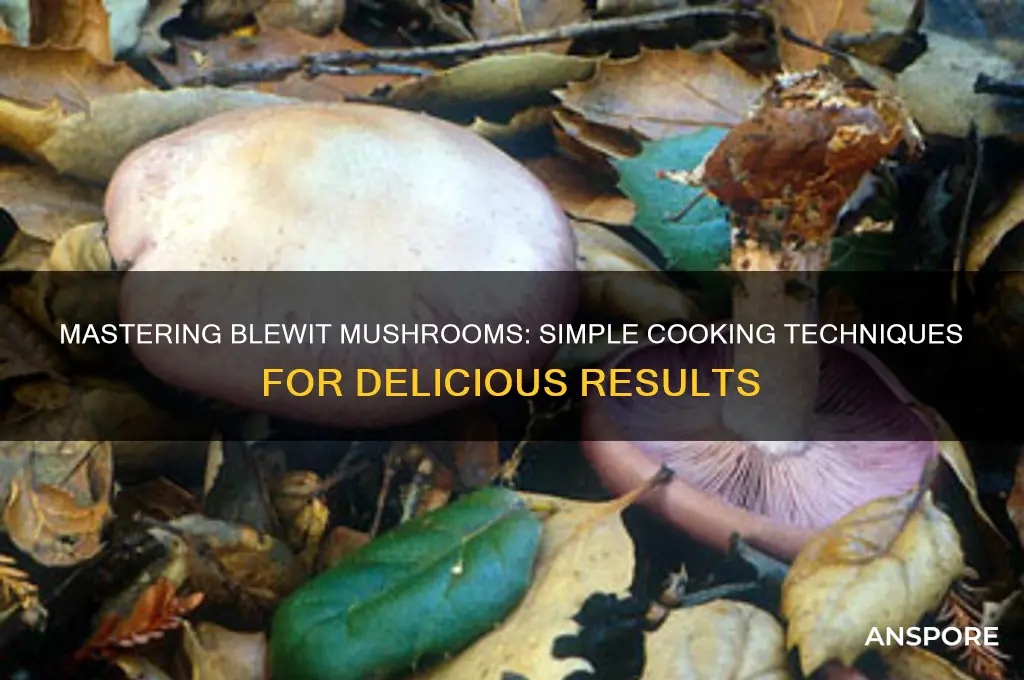 how to cook blewit mushrooms