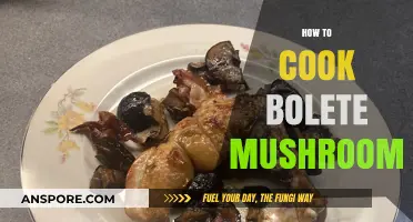 Mastering Bolete Mushrooms: A Step-by-Step Cooking Guide for Delicious Results