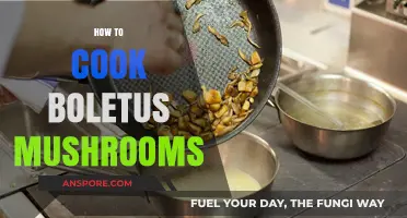 Mastering Boletus Mushrooms: A Step-by-Step Cooking Guide for Perfection