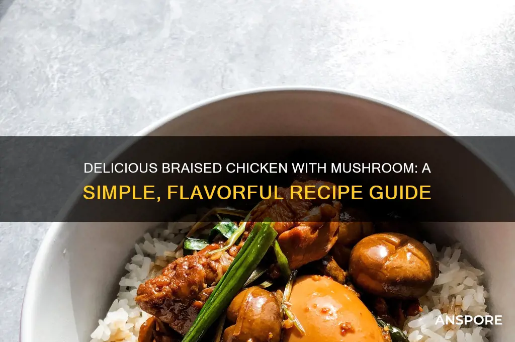 how to cook braised chicken with mushroom