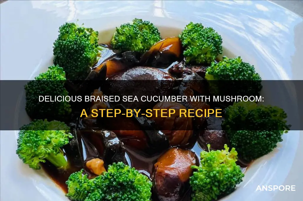 how to cook braised sea cucumber with mushroom