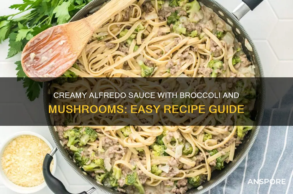 how to cook broccoly and mushrooms in alfredo sauce