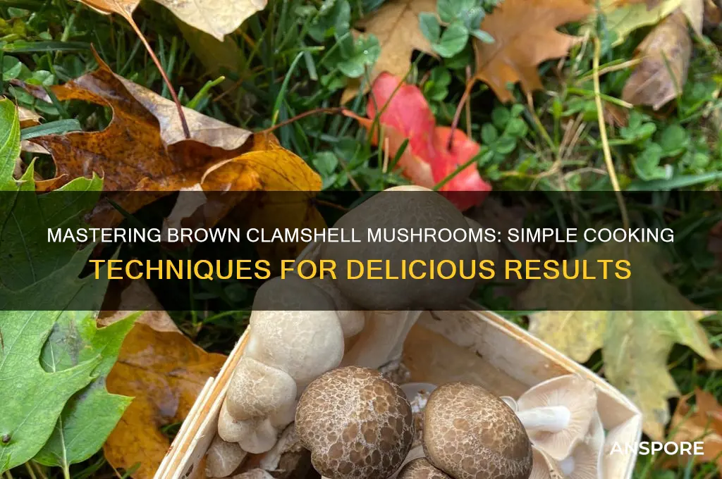 how to cook brown clamshell mushrooms
