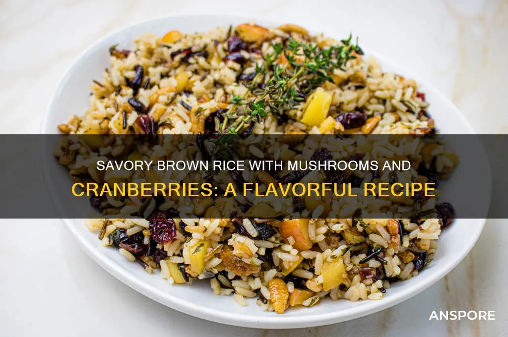 how to cook brown rice w mushrooms and cranberries