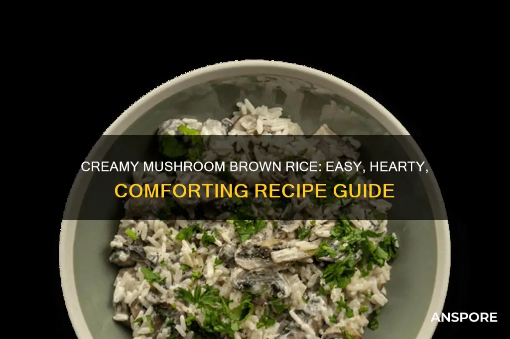 how to cook brown rice with cream of mushroom soup
