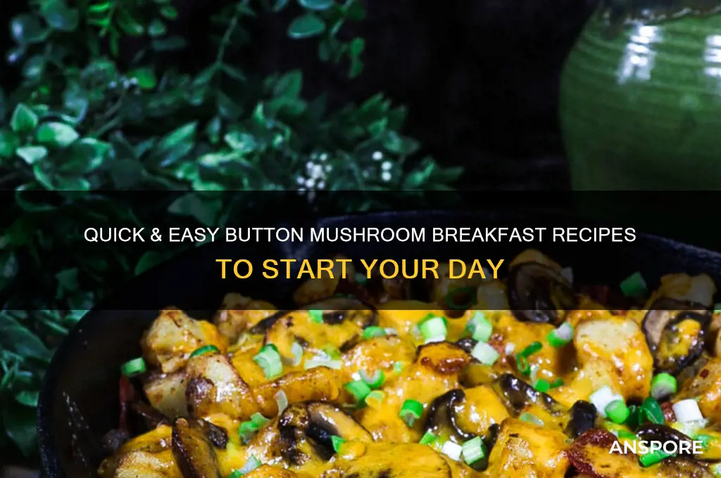 how to cook button mushrooms for breakfast